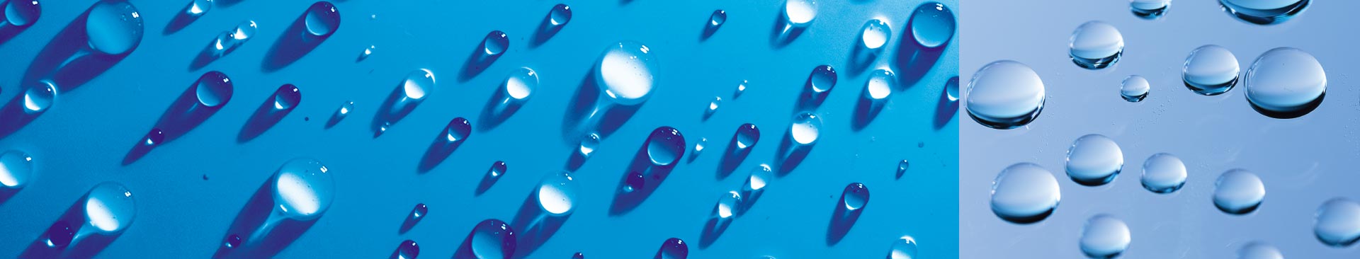 Glass Science Transportation Slide with Beads